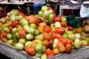 Cesta Básica de Salvador. Venda de Tomate