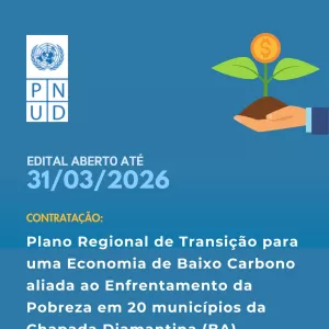 Edital PNUD aberto até 31 de março