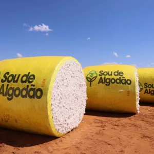 PIB do Agronegócio. Algodão
