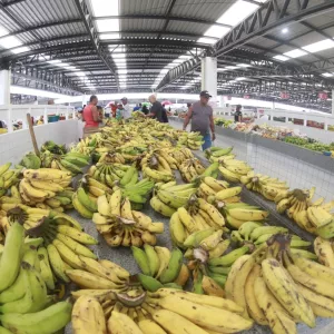 Com alta de 5,29% em maio, custo da Cesta Básica em Salvador supera a forte elevação de março