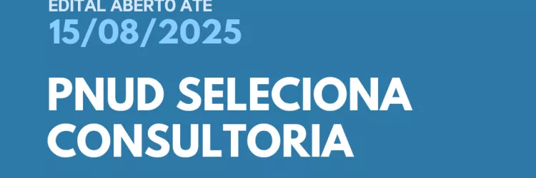 PNUD seleciona consultoria