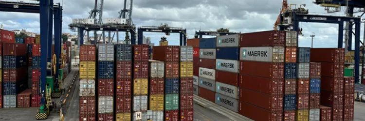 Porto de Salvador, Codeba. Exportações