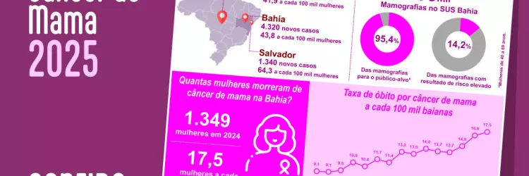 Card Info Cancer de Mama 2025