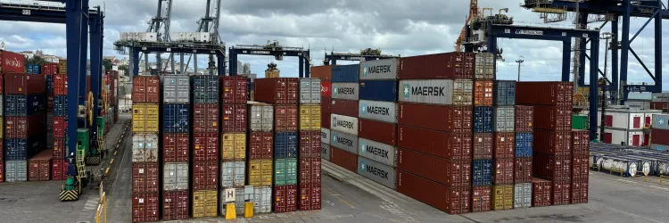 Porto de Salvador, Codeba. Exportações