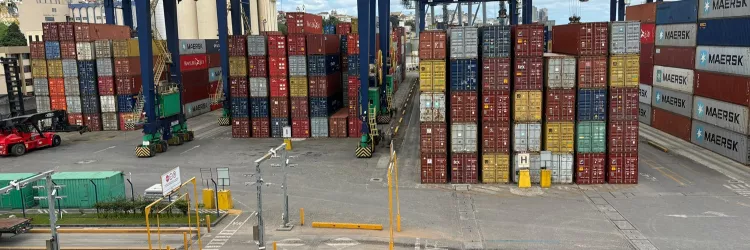 Porto de Salvador, Codeba, Exportações