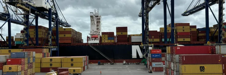 Porto de Salvador, Codeba. Exportações