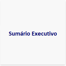 PDI2050_Botao_Sumario_Executivo-21082025.png