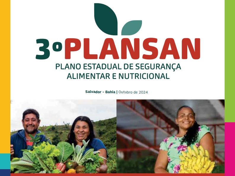 Políticas, estudos e diagnósticos que embasam o PDI Bahia 2050 estão disponíveis para consulta no site da Seplan