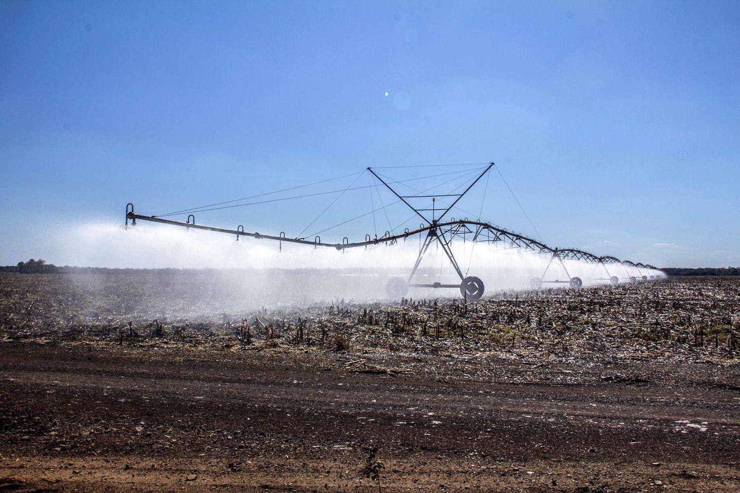 Cooperativas agrícolas do sul visitam áreas irrigadas da Bahia 