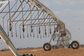 Polo Agroindustrial e Bioenergético do Médio São Francisco