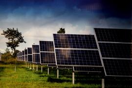 24301421299_8dafd034ff_o