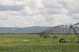 Empresários de cinco grupos investidores conhecem potencial do Polo Agroindustrial do São Francisco (4)