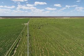 Fazenda Euroeste - Creditos ACE Solutions