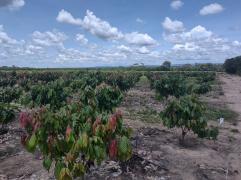 Fotos_Divulgação (3)