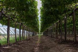 Investidores catarinenses - Ascom_Seplan (1)