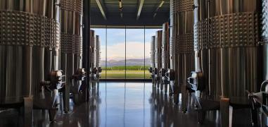 Vinicola Uvva - Mucugê (4)