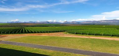 Vinicola-Uvva-Mucuge-5