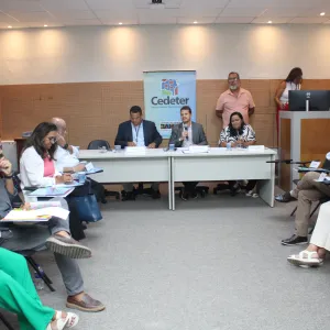 Plenária do Cedeter debate temas estratégicos