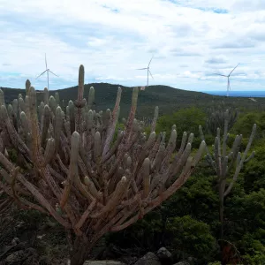 Bahia avança na atualização dos Planos Territoriais de Desenvolvimento Sustentável (PTDS) com participação de mais de mil pessoas  Com a realização de oficinas virtuais ao longo do mês de novembro, que reuniram cerca de mil participantes de diferentes segmentos sociais, distribuídos em 19 Territórios de Identidade, o Governo da Bahia avança na primeira etapa da atualização dos Planos Territoriais de Desenvolvimento Sustentável (PTDS). Até o próximo dia 8 de dezembro, data da última oficina, todos os 27 terr