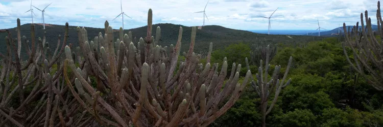 Bahia avança na atualização dos Planos Territoriais de Desenvolvimento Sustentável (PTDS) com participação de mais de mil pessoas  Com a realização de oficinas virtuais ao longo do mês de novembro, que reuniram cerca de mil participantes de diferentes segmentos sociais, distribuídos em 19 Territórios de Identidade, o Governo da Bahia avança na primeira etapa da atualização dos Planos Territoriais de Desenvolvimento Sustentável (PTDS). Até o próximo dia 8 de dezembro, data da última oficina, todos os 27 terr