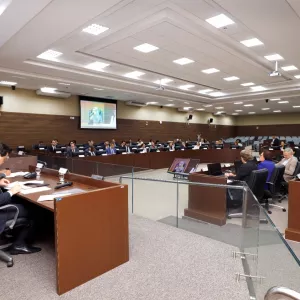 Foto por Amanda Ercília 