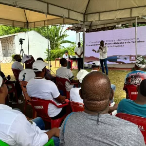 Consulta livre 18 e 19 de dezembro 