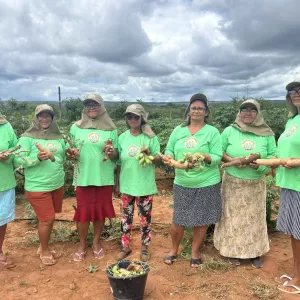 Mulheres Defensoras da Caatinga