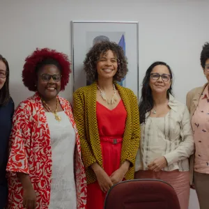 No total, 28 Conselhos participaram das reuniões focais