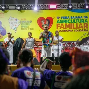 A imagem amostra um show sendo realizado