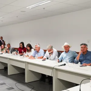 Deputados federais da Bahia participaram de reunião na Serin