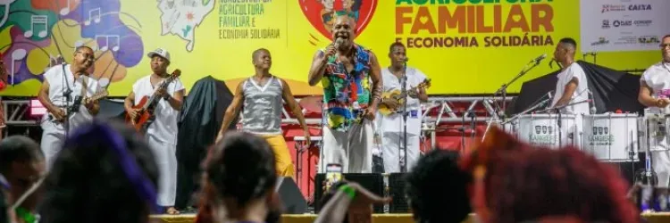 A imagem amostra um show sendo realizado