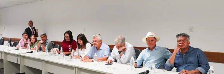 Deputados federais da Bahia participaram de reunião na Serin