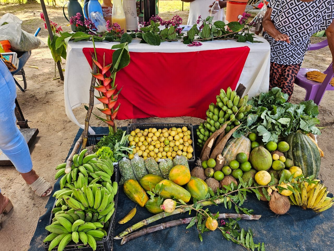 paa alimentos camaçari
