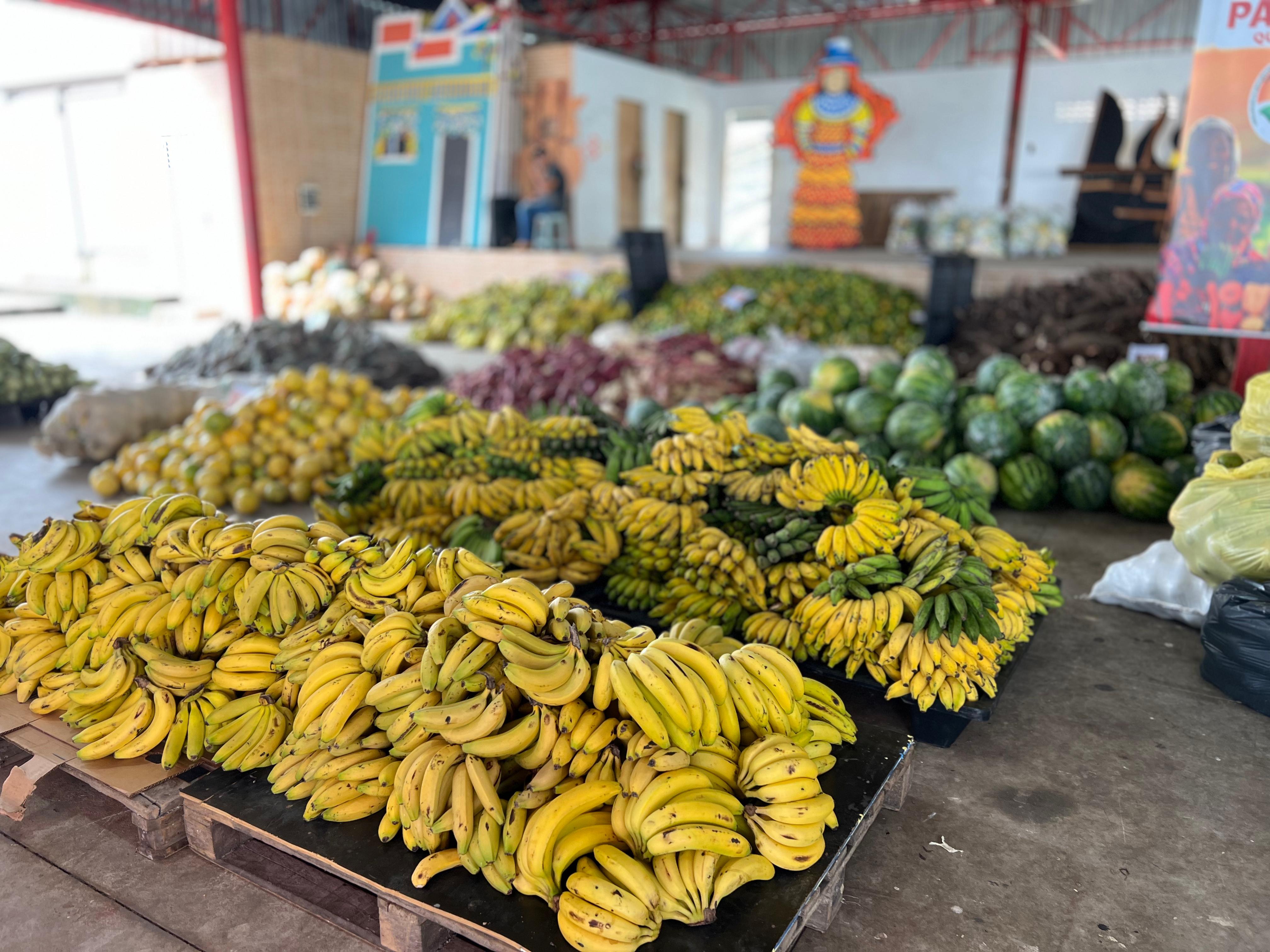 paa quilombola araças