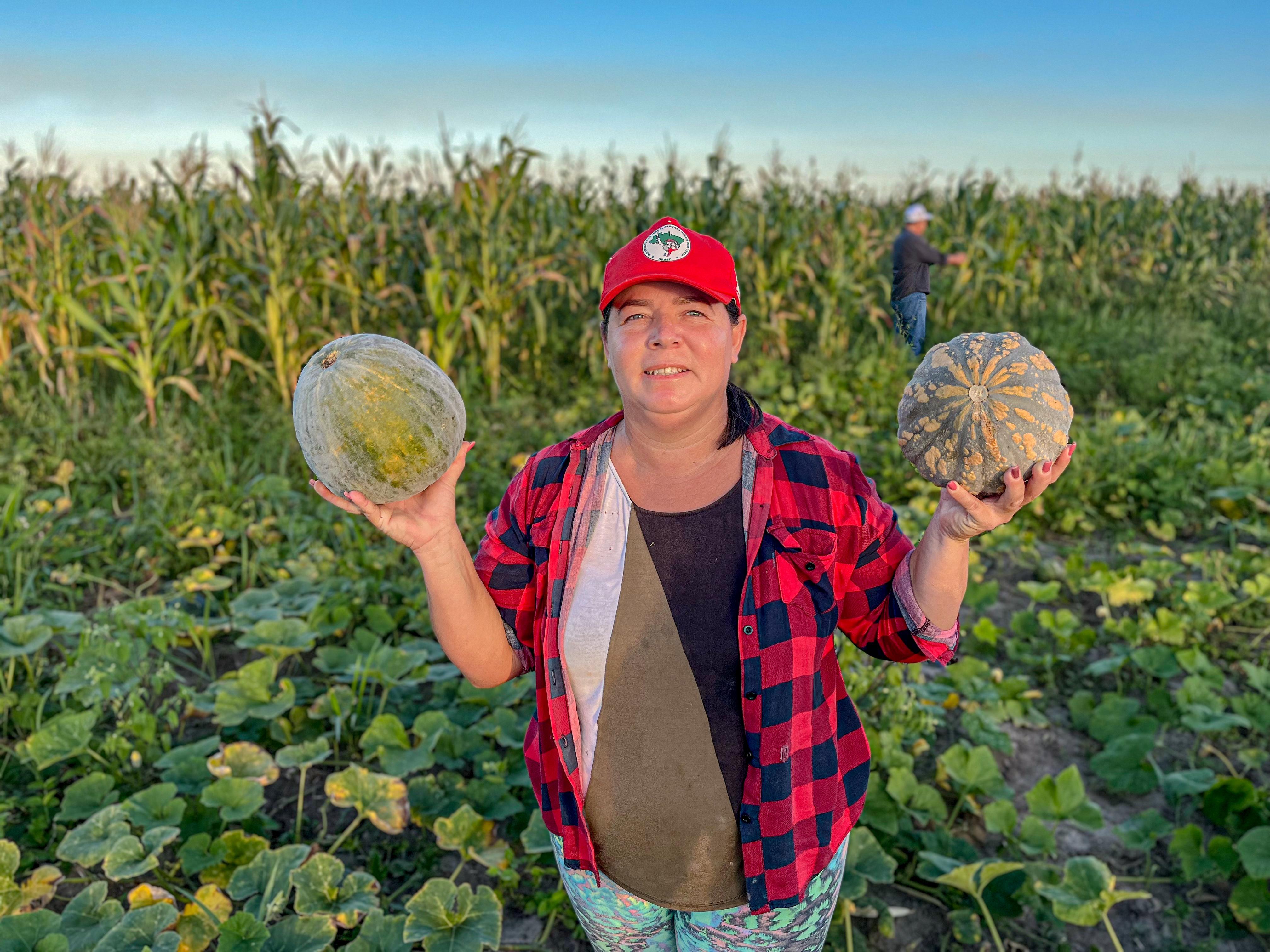 quintais produtivos extremo sul