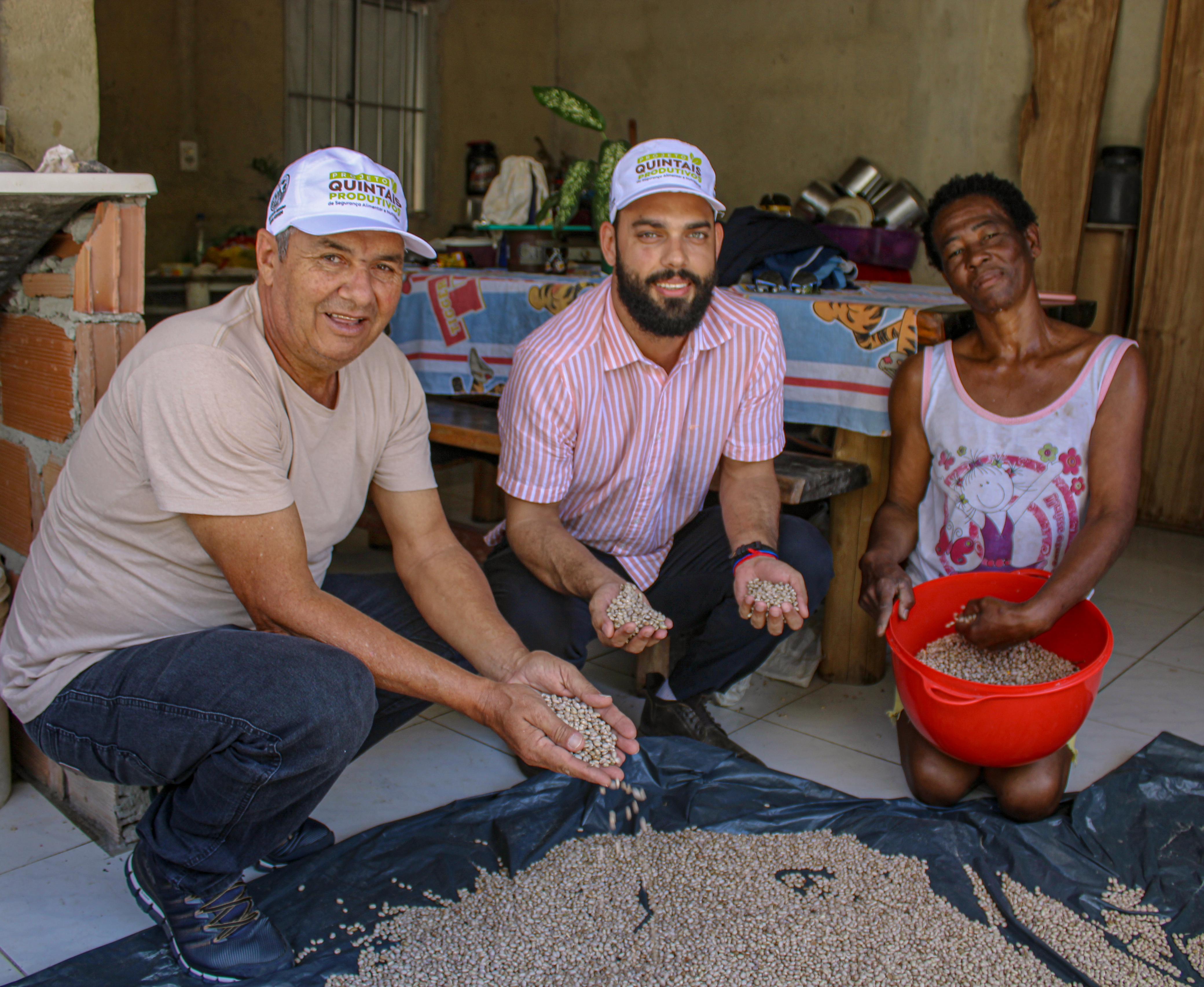 quintais produtivos extremo sul