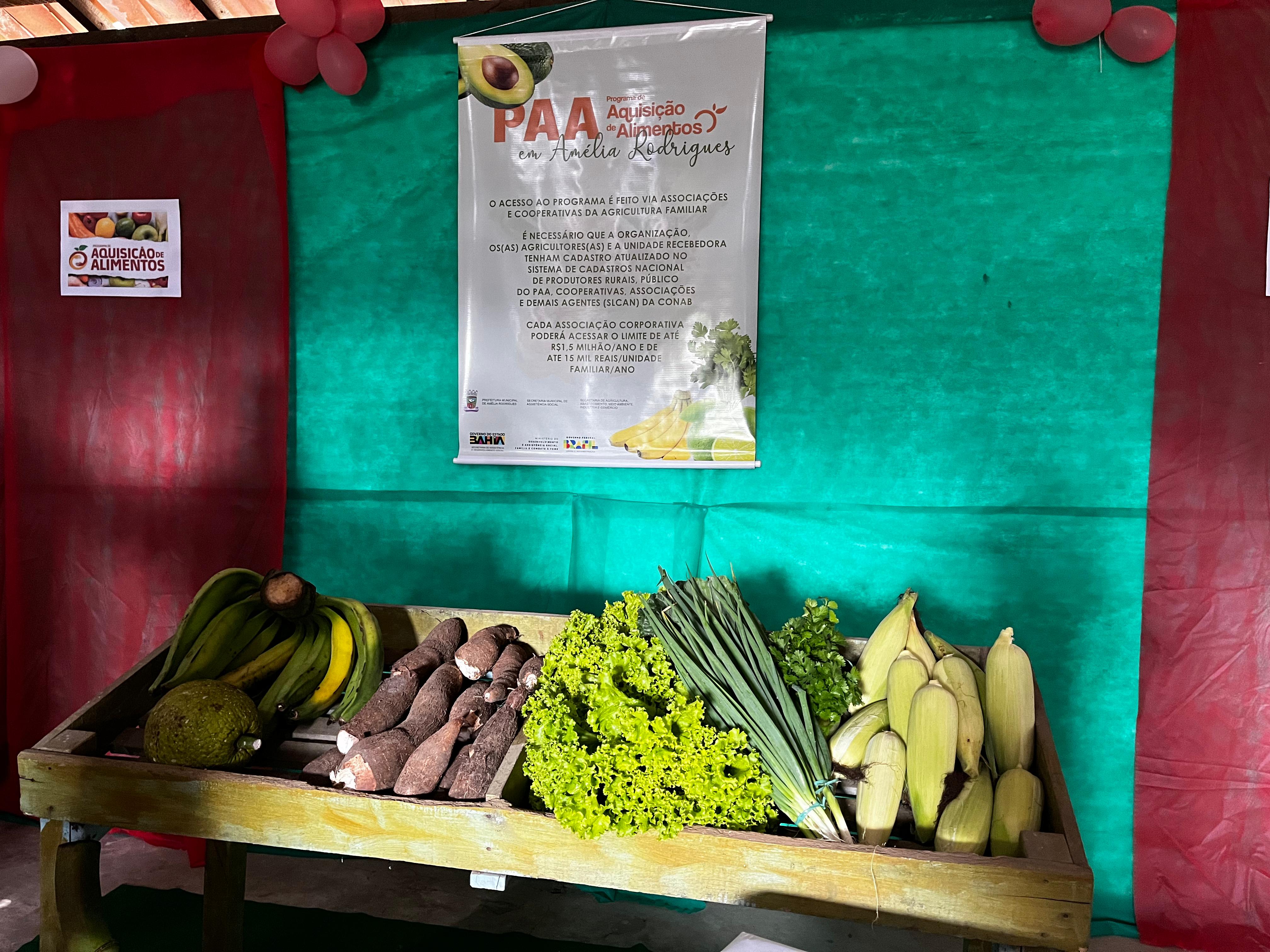 paa amélia rodrigues