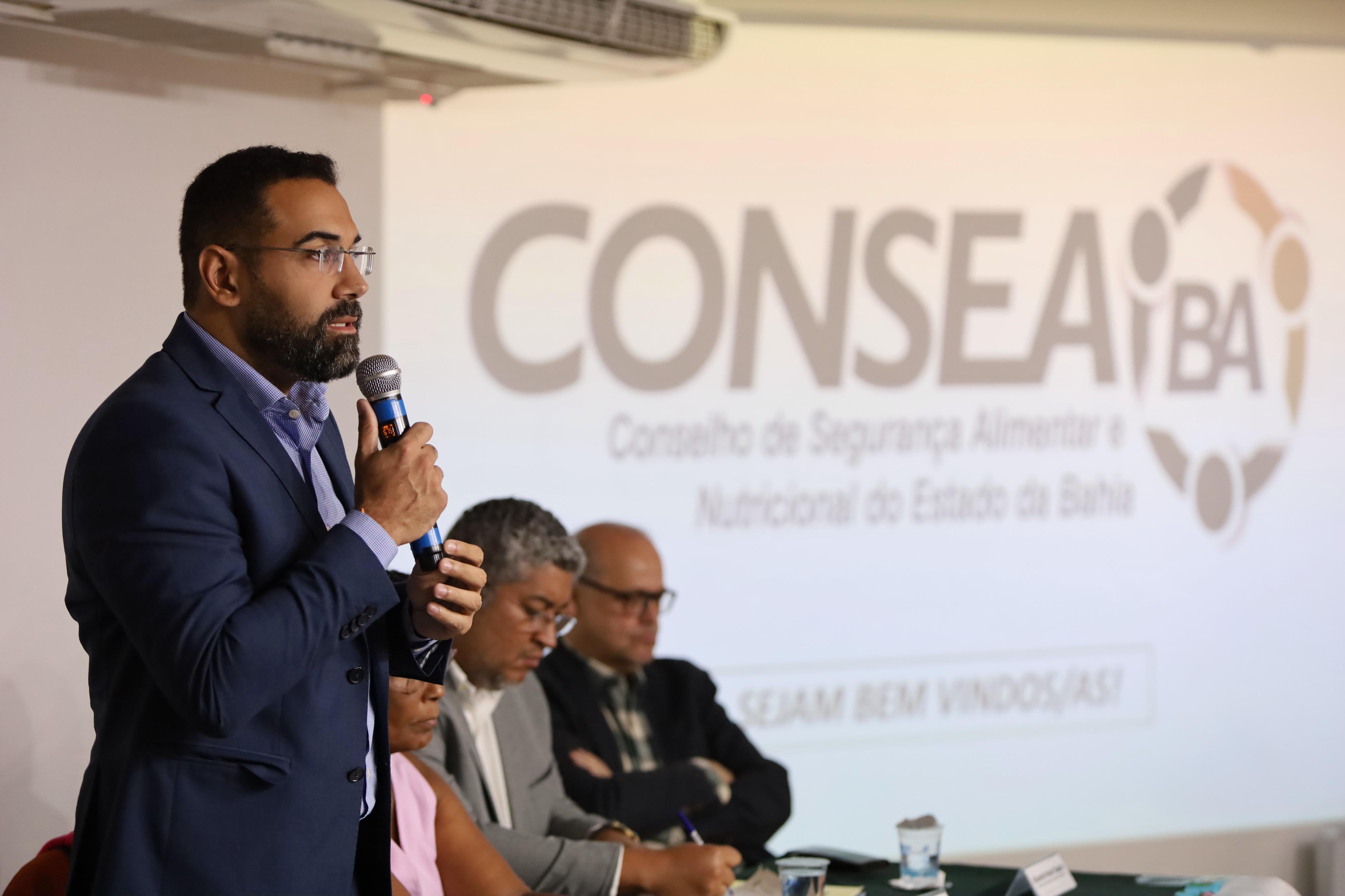 consea plenaria agosto 2024