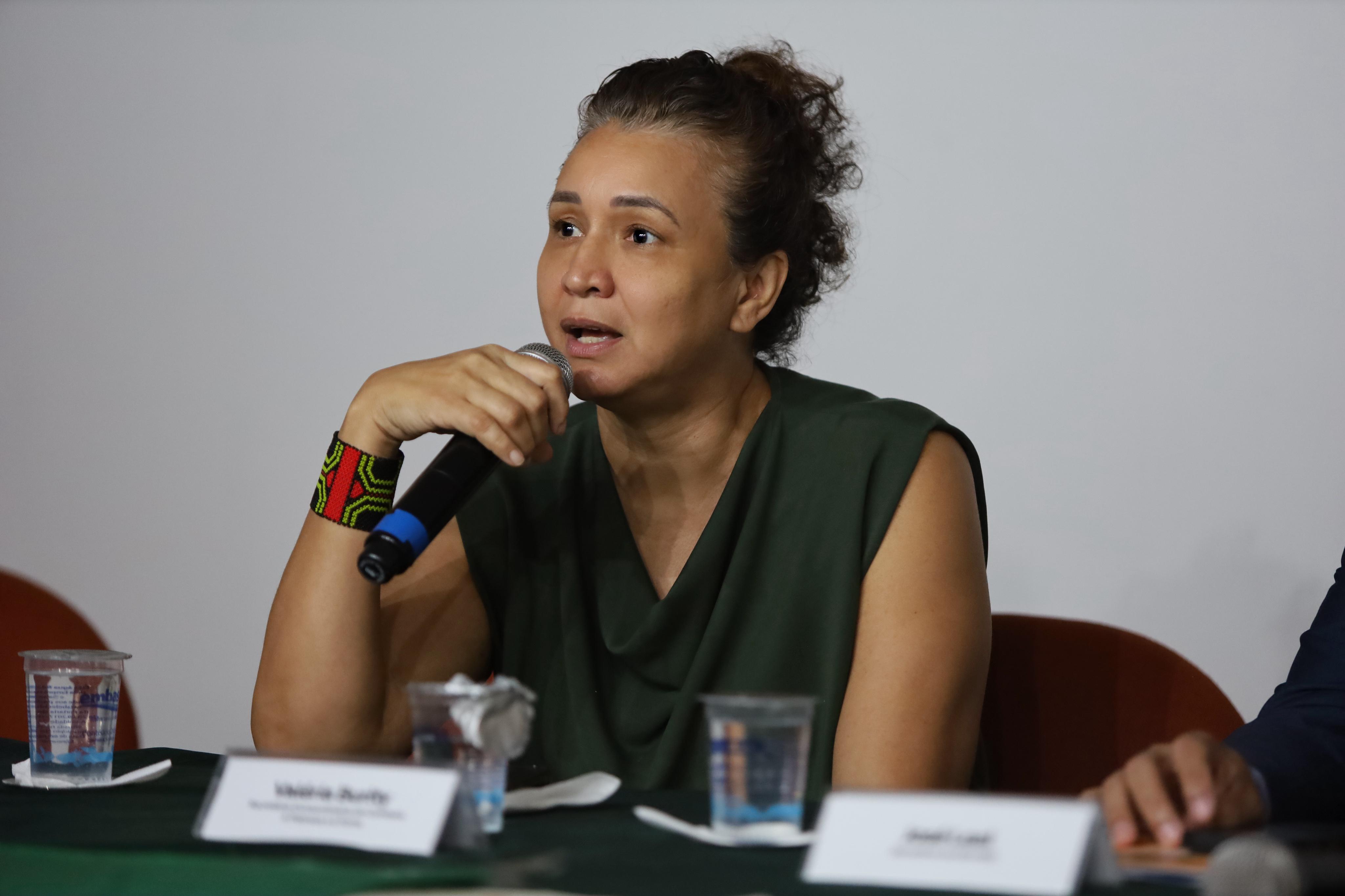 consea plenaria agosto 2024