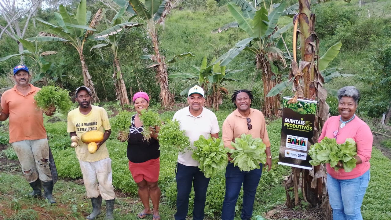 quintais produtivos litoral sul