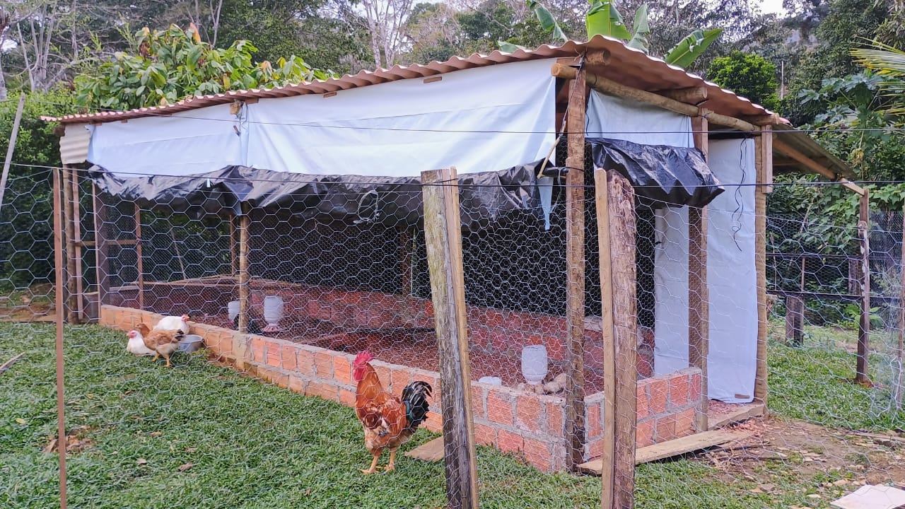 quintais produtivos litoral sul