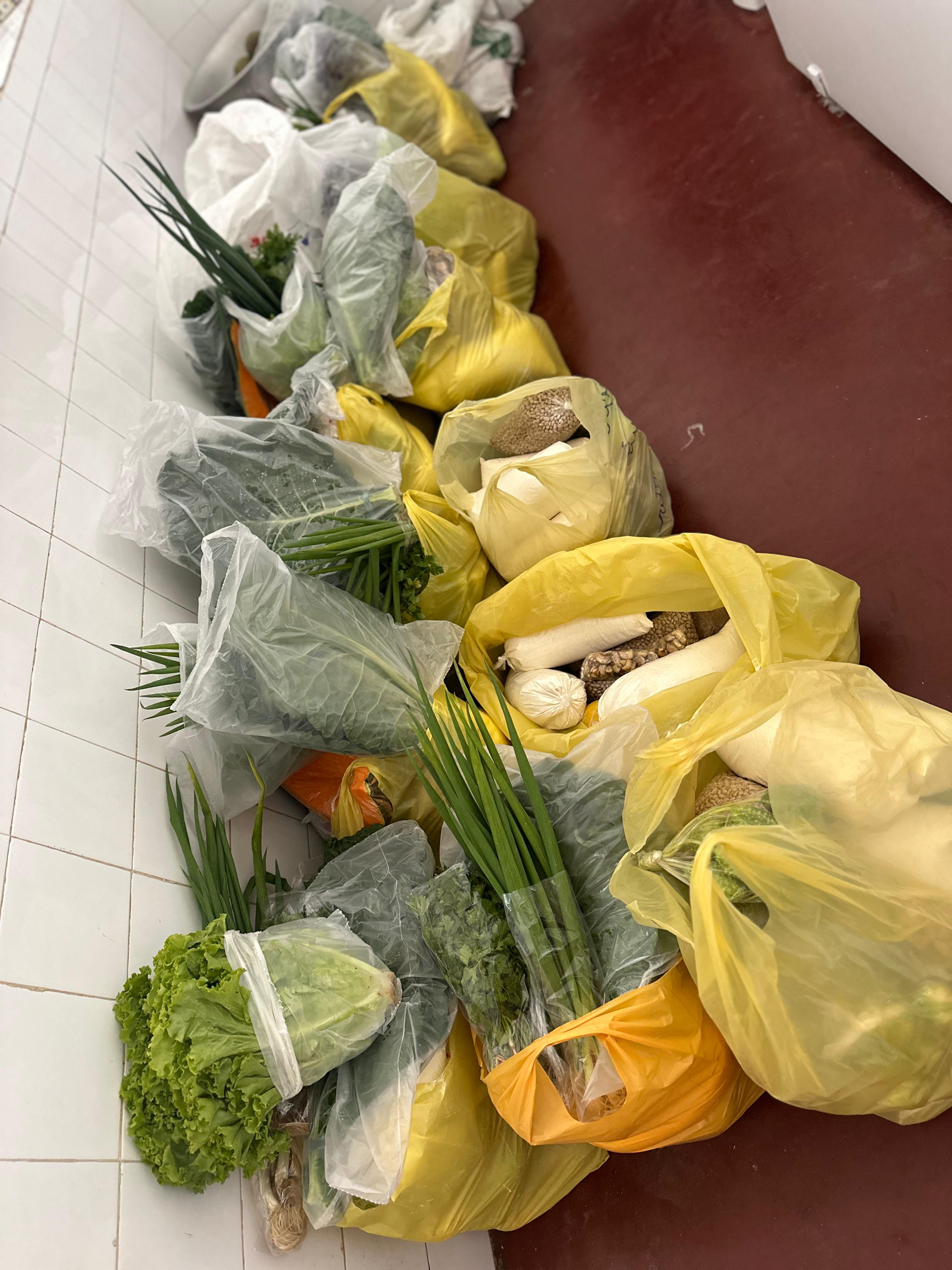 paa quilombola irara