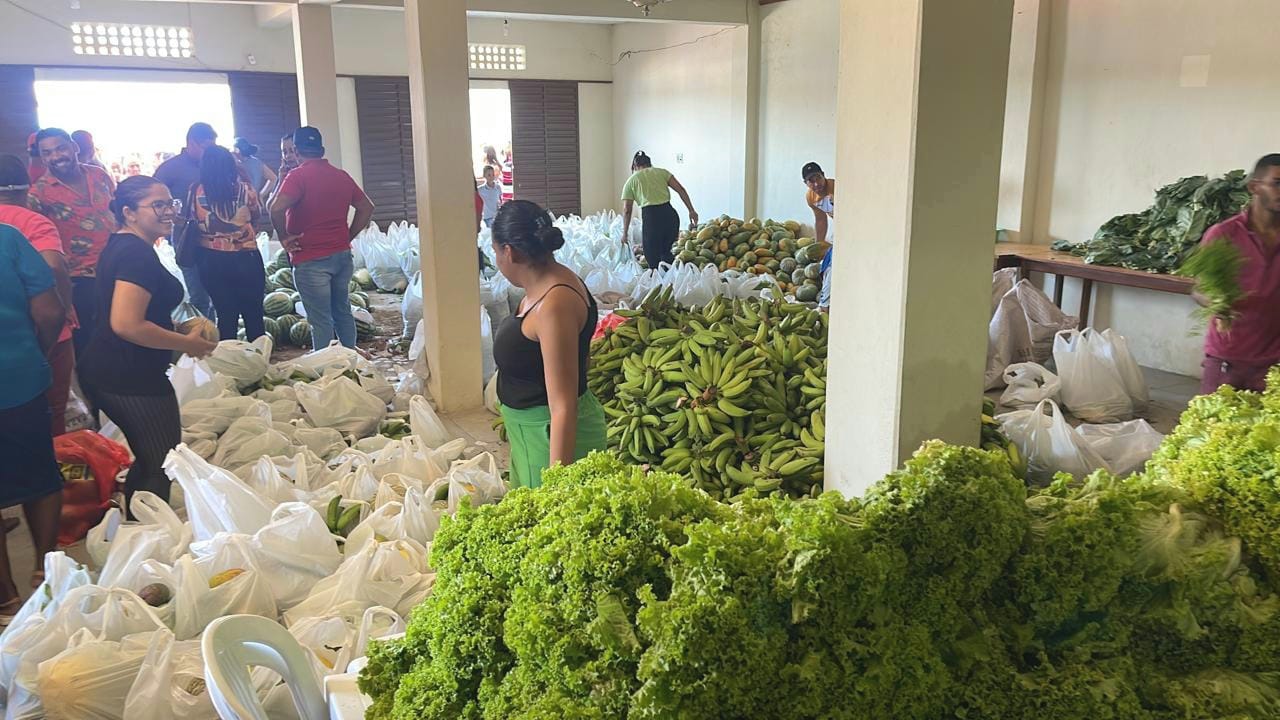 paa abare sexta compra