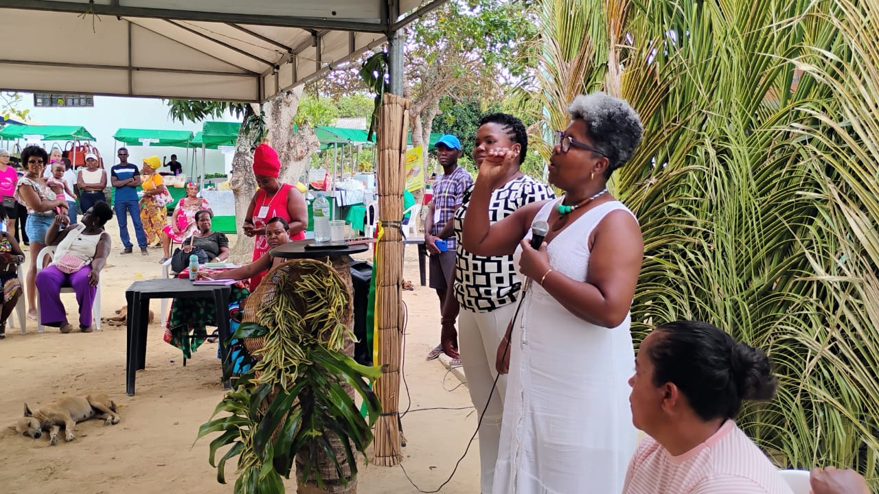 sisa feira quilombo do gamba