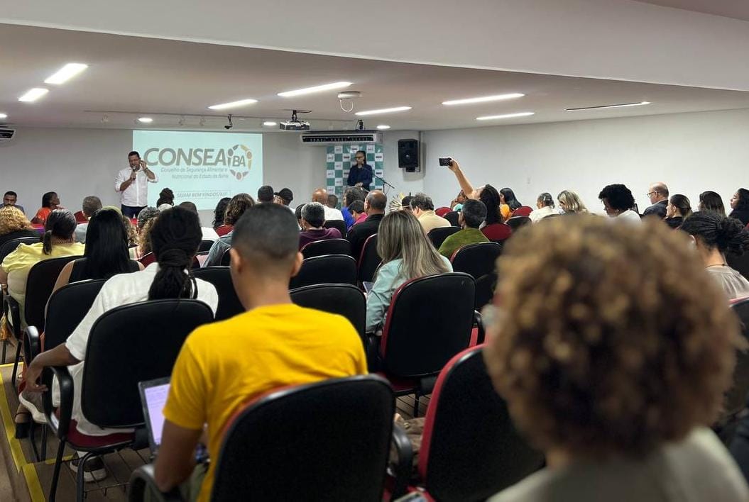 consea plenaria povos e comunidades tradicionais 