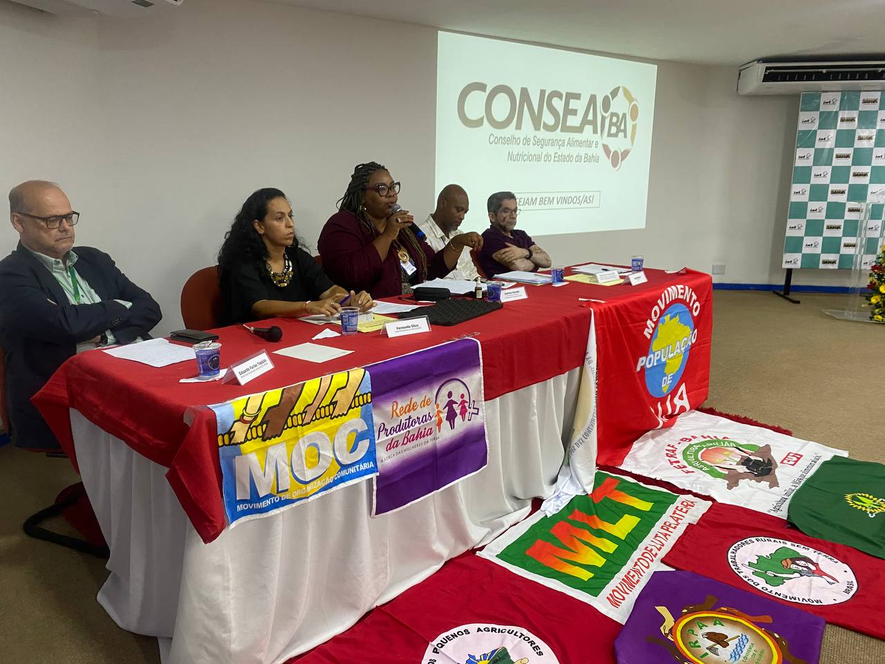 consea plenaria povos e comunidades tradicionais 