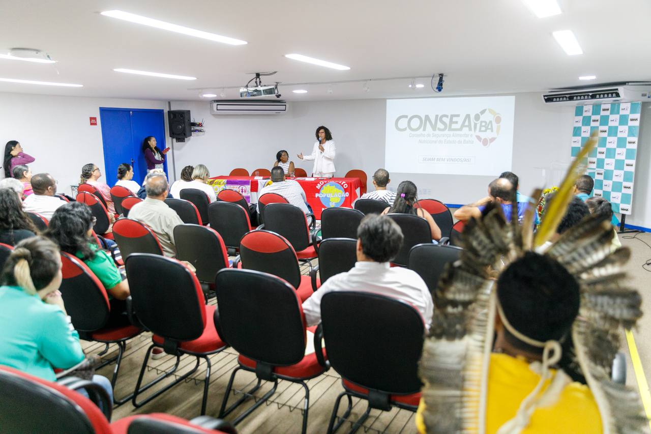 consea plenaria plansan