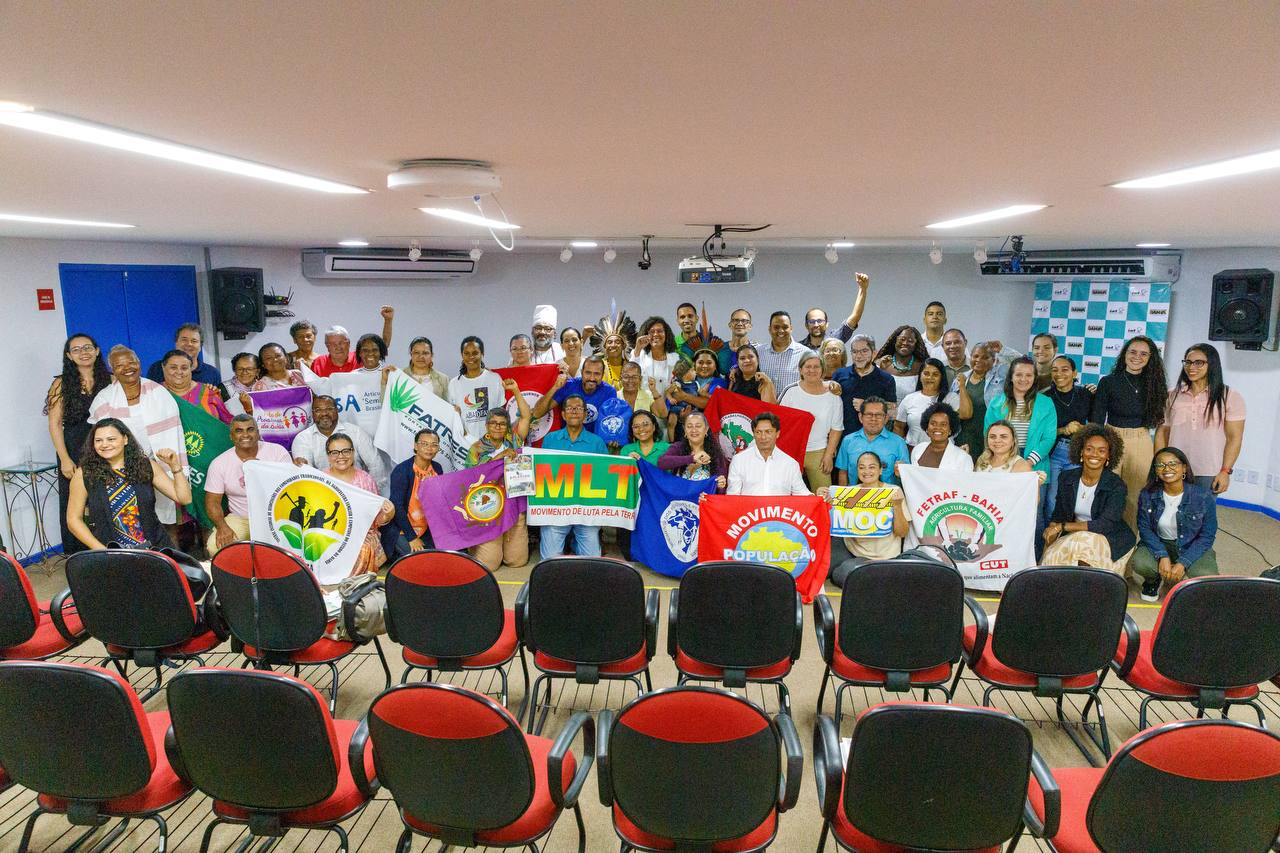 consea plenaria plansan