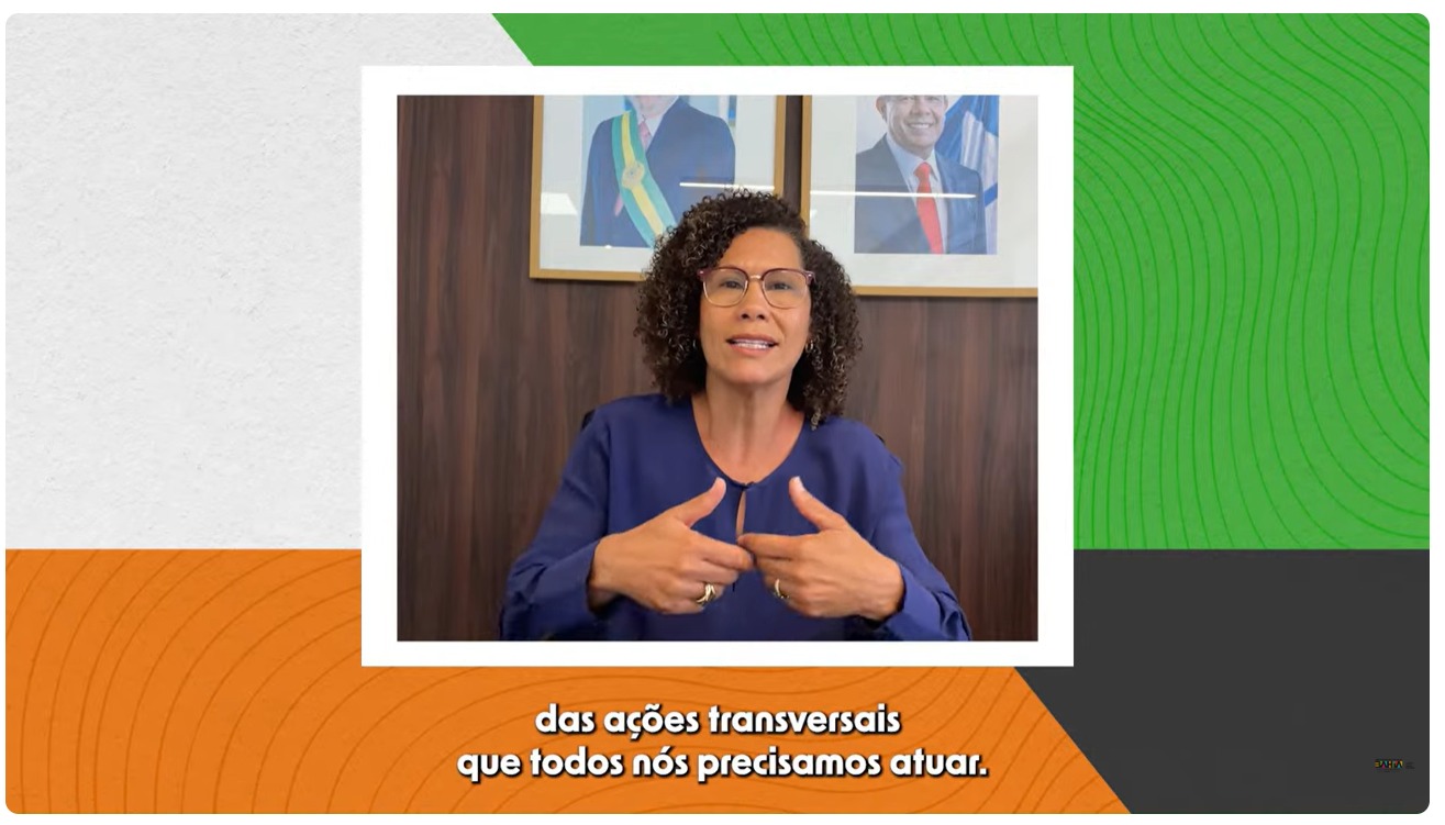 live bolsa condicionalidades