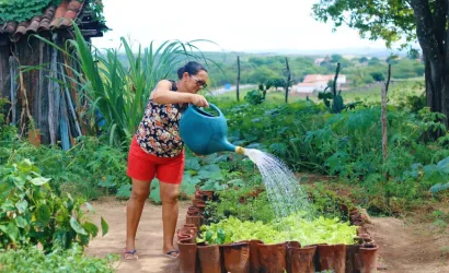 Programa de Aquisição de Alimentos completa 23 anos como política estratégica de promoção da segurança alimentar no país